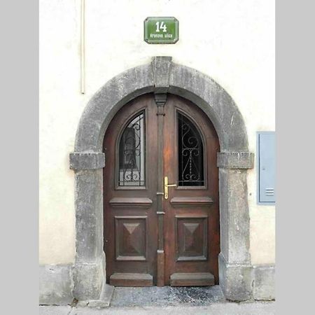 Old Town 14 Lägenhet Ljubljana Exteriör bild